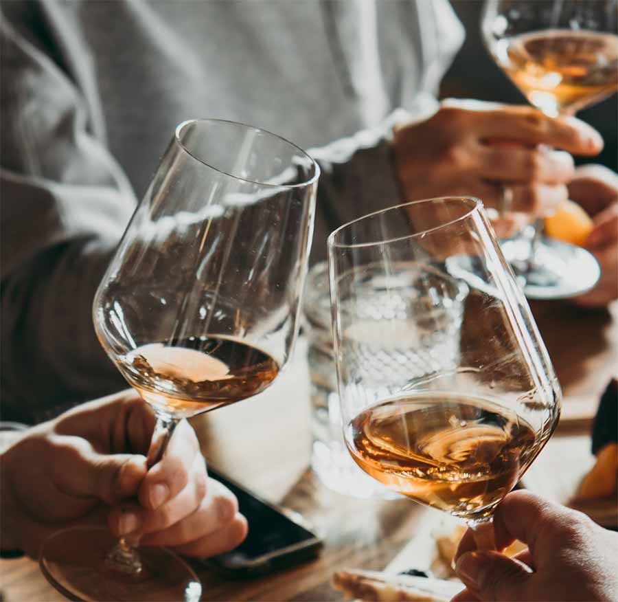 Bodega y cata de vinos