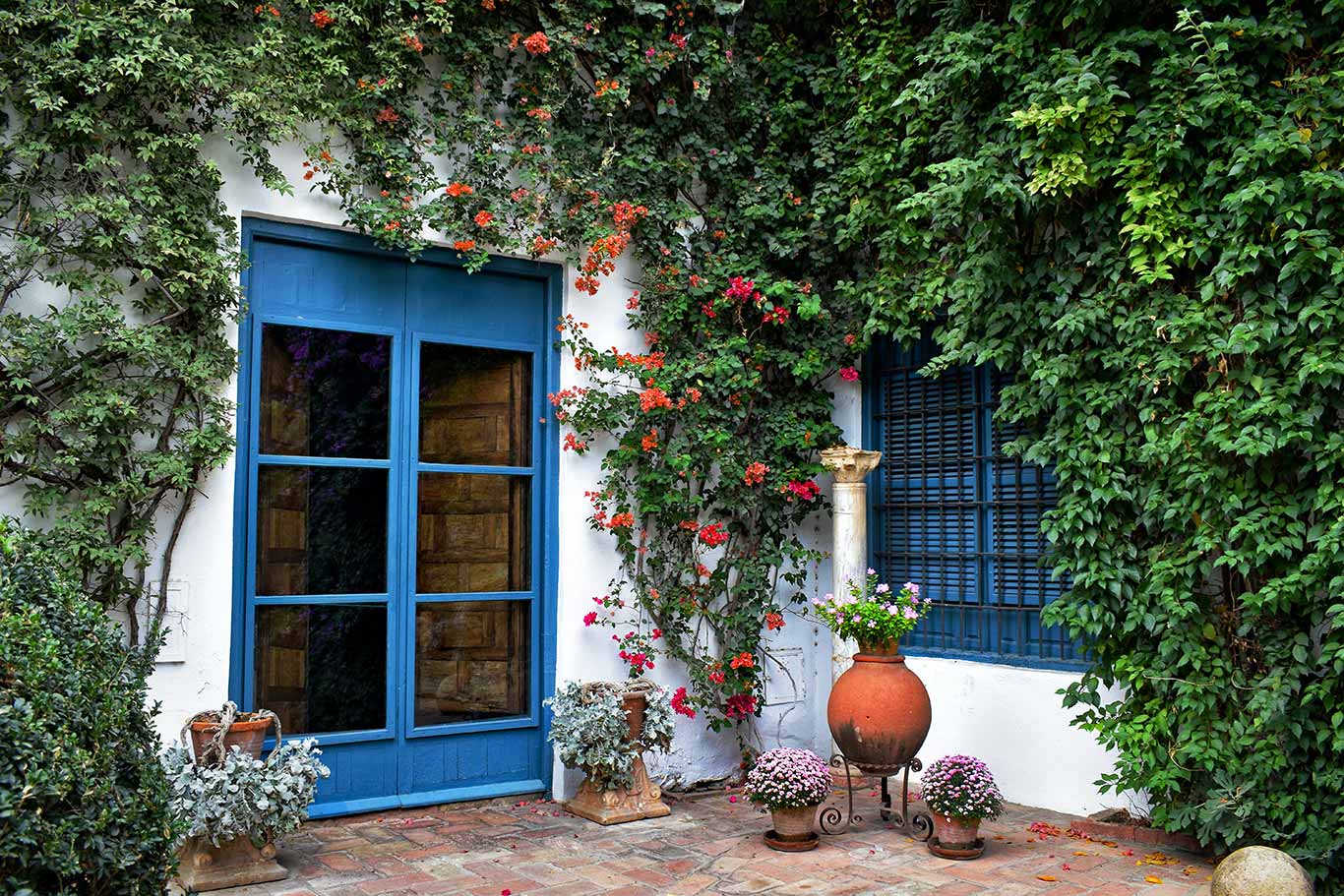 Patios en flor Córdoba